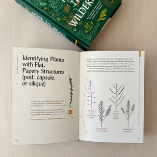 How to Read the Wilderness