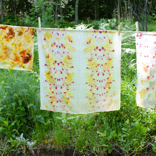 Natural Dye Workshop: Eco-Printing with Plants