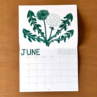 2027 Medicinal Plants Calendar
